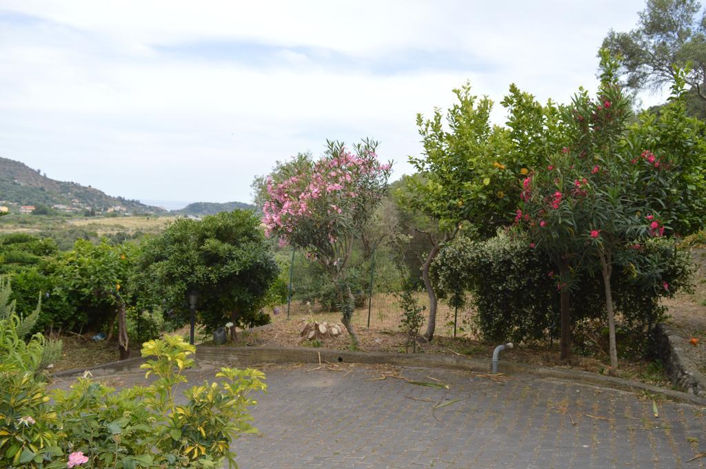 La Casa Di Giulia Apartment Forza d'Agro Ngoại thất bức ảnh